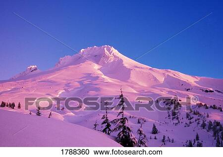 Sunrise on Mt. Hood View Large Photo Image Stock Image - Sunrise on Mt. Hood. Fotosearch