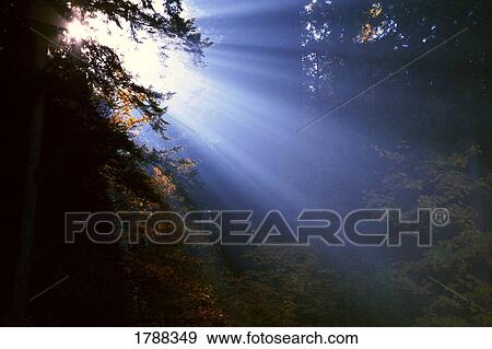 Stock Photo - Sunshine bursting light into darkness. Fotosearch