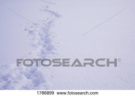 Stock Photo - Tracks in the snow. Fotosearch