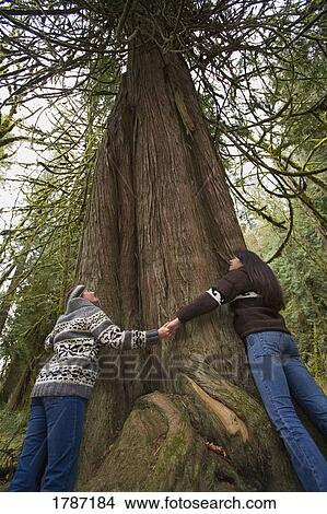 Picture - Two women hugging cedar tree. Fotosearch