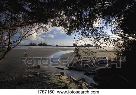 Stock Image - Walk along a beach. Fotosearch