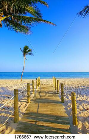 Walkway onto beach View Large Photo Image Stock Photo - Walkway onto beach. Fotosearch