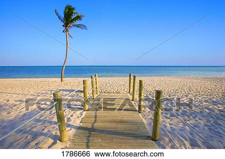 Walkway onto beach View Large Photo Image Stock Photograph - Walkway onto beach. Fotosearch