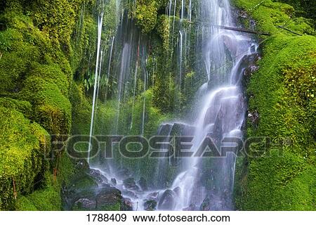 Stock Photo - Waterfall over moss-covered rocks. Fotosearch