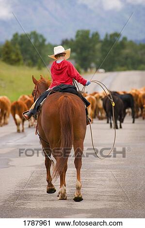 Stock Image - Young Cowboy on Cattle Drive. Fotosearch