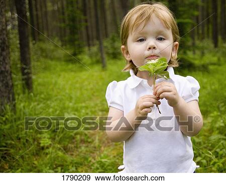 A little girl holding a wild flower View Large Photo Image Stock Photo - A little girl holding a wild flower. Fotosearch