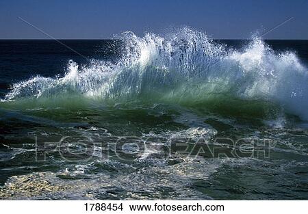 Picture - Breaking wave. Fotosearch
