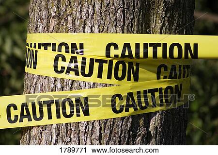 Caution tape wrapped around tree View Large Photo Image Stock Image - Caution tape wrapped around tree. Fotosearch