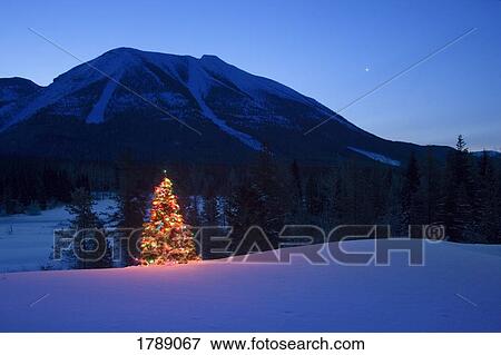 Christmas Tree in Mountains View Large Photo Image Stock Photo - Christmas Tree in Mountains. Fotosearch