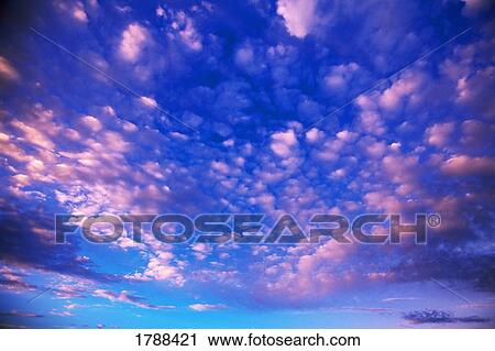 Cirrus clouds View Large Photo Image Stock Image - Cirrus clouds. Fotosearch