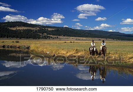 Cowboys on horseback at edge of creek, dogs in grass, water reflection. View Large Photo Image Stock Image - Cowboys on horseback at edge of creek, dogs in grass, water reflection.. Fotosearch
