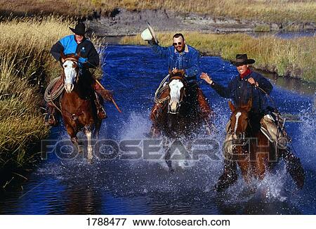 Stock Photo - Cowboys on horseback racing through creek, Ponderosa Ranch. Fotosearch
