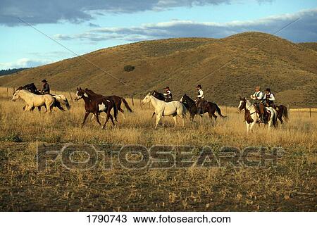 Stock Image - Cowboys on horseback. Fotosearch