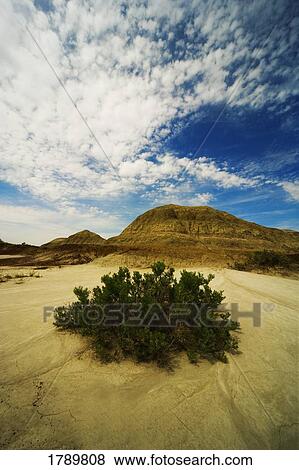 Desert landscape View Large Photo Image Stock Photo - Desert landscape. Fotosearch