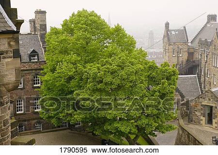 Edinburgh, Scotland in the mist View Large Photo Image Stock Photography - Edinburgh, Scotland in the mist. Fotosearch