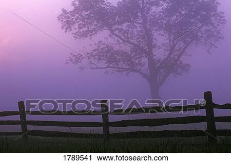 Fenceline silhouette with tree View Large Photo Image Stock Image - Fenceline silhouette with tree. Fotosearch