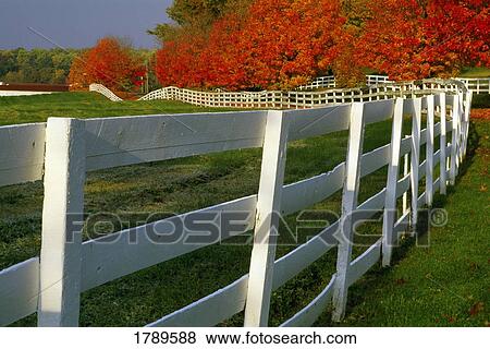 Stock Photo - Fenceline. Fotosearch