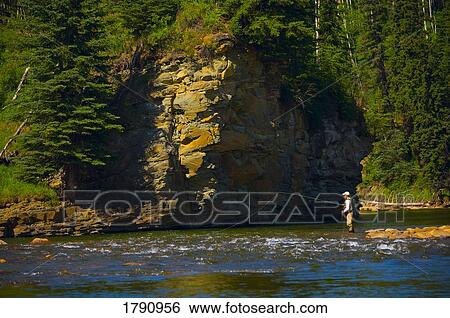 Fly fishing in a river View Large Photo Image Stock Photograph - Fly fishing in a river. Fotosearch