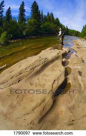 Fly fishing in Alberta View Large Photo Image Stock Photo - Fly fishing in Alberta. Fotosearch