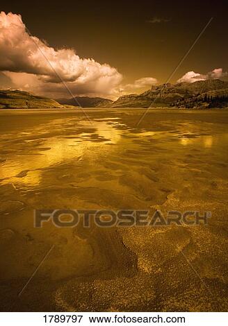 Stock Photo - Golden landscape. Fotosearch