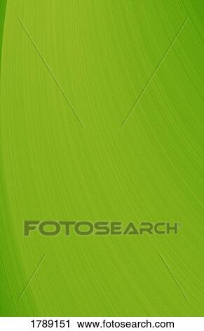 Green Abstract View Large Photo Image Stock Image - Green Abstract. Fotosearch