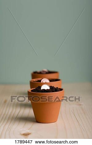 Stock Photo - Growing money. Fotosearch