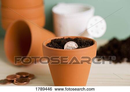 Growing money View Large Photo Image Stock Photograph - Growing money. Fotosearch