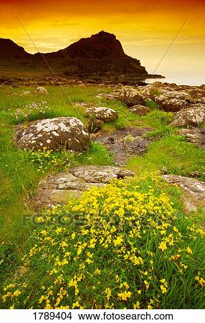 Landscape in Northern Ireland View Large Photo Image Picture - Landscape in Northern Ireland. Fotosearch