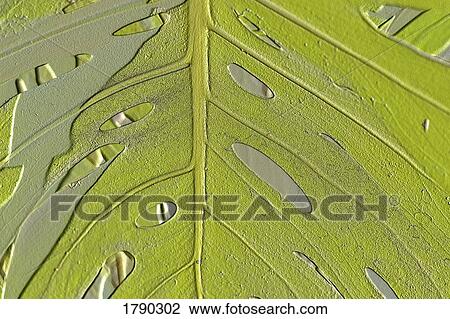 Leaf texture background View Large Photo Image Stock Image - Leaf texture background. Fotosearch