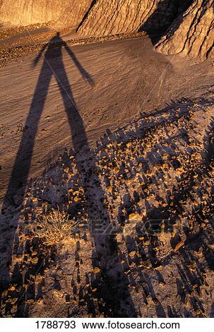 Long shadow View Large Photo Image Stock Image - Long shadow. Fotosearch