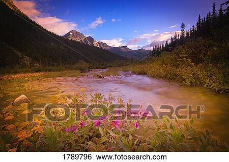 Stock Photograph - Mountain river scene. Fotosearch