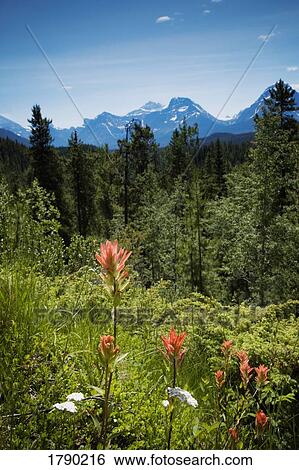Mountain scenic View Large Photo Image Stock Photograph - Mountain scenic. Fotosearch
