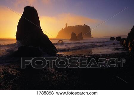Stock Photo - Olympic National Park. Fotosearch