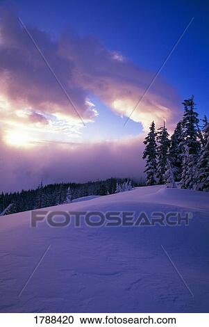 Oregon Cascades View Large Photo Image Stock Image - Oregon Cascades. Fotosearch