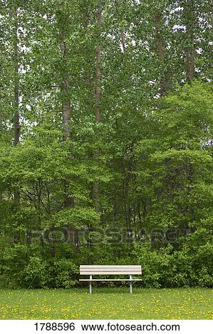 Stock Photograph - Park bench. Fotosearch