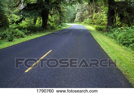 Paved forest road View Large Photo Image Stock Image - Paved forest road. Fotosearch