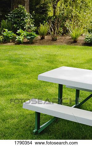 Picture - Picnic table in a park. Fotosearch