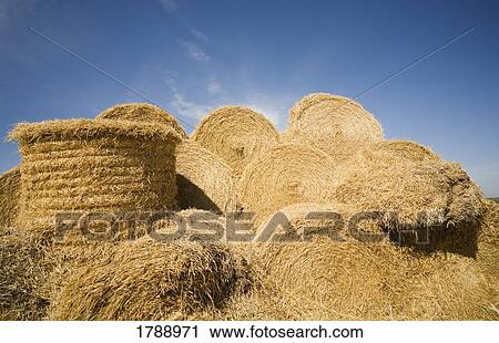 Piled Bales of Hay View Large Photo Image Stock Image - Piled Bales of Hay. Fotosearch