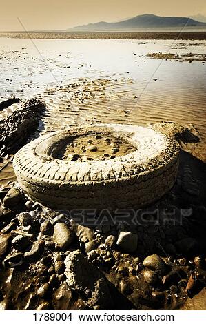 Picture - Polluted Beach. Fotosearch