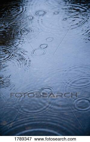 Stock Photo - Raindrops in Water. Fotosearch