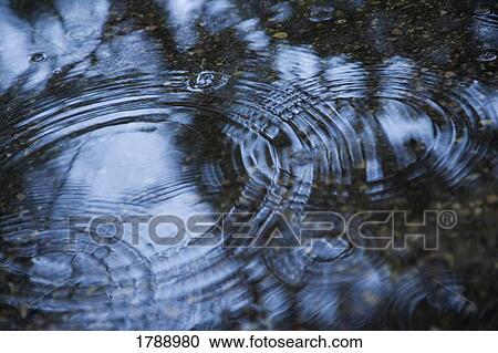 Raindrops on water View Large Photo Image Stock Image - Raindrops on water. Fotosearch