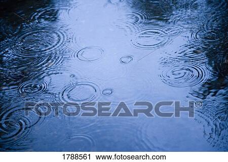 Stock Image - Raindrops. Fotosearch