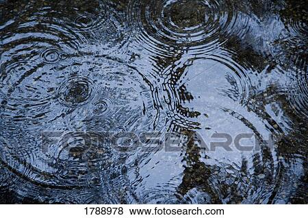 Stock Photo - Raindrops. Fotosearch