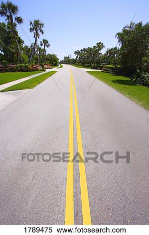 Stock Photography - Road lined with palm trees. Fotosearch