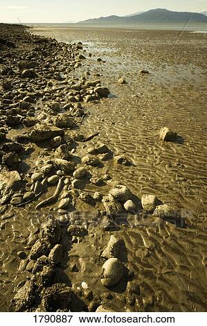 Rocky beach View Large Photo Image Stock Photo - Rocky beach. Fotosearch