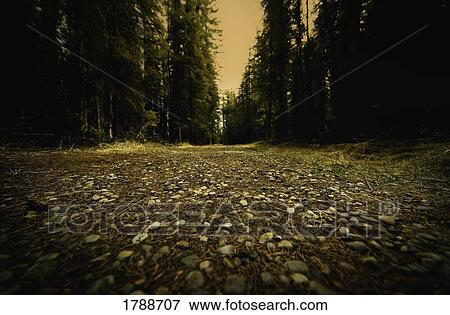 Rugged path View Large Photo Image Stock Photo - Rugged path. Fotosearch