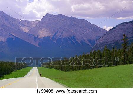 Runner in the mountains View Large Photo Image Stock Photo - Runner in the mountains. Fotosearch