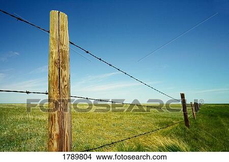 Rural fence View Large Photo Image Picture - Rural fence. Fotosearch