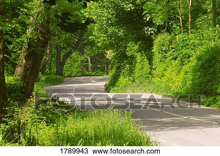 Scenic road in Northern Ireland View Large Photo Image Stock Image - Scenic road in Northern Ireland. Fotosearch