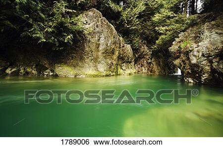 Scenic spring in rain forest View Large Photo Image Stock Photograph - Scenic spring in rain forest. Fotosearch